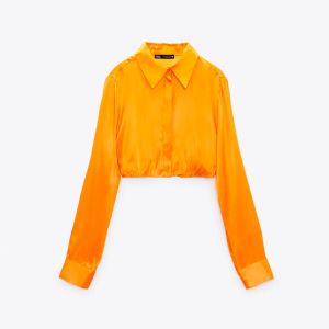 Cropped Shirt (Demo)